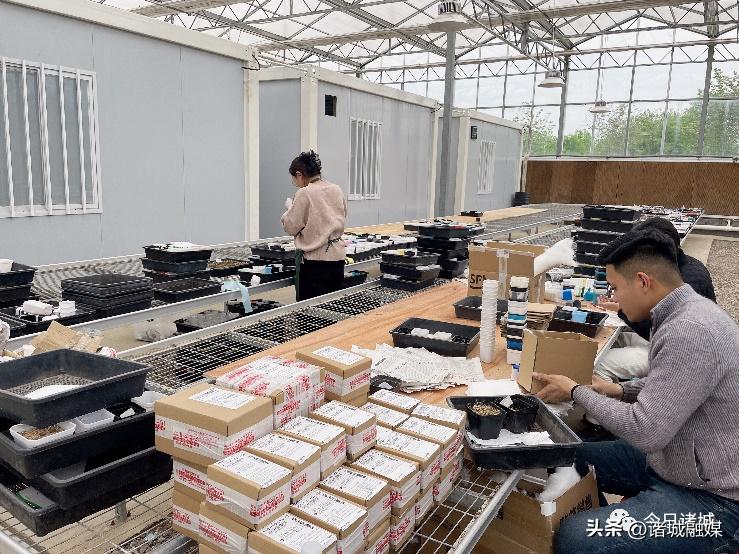 诸城城区哪个街道发展得好,诸城哪个街道发展有潜力