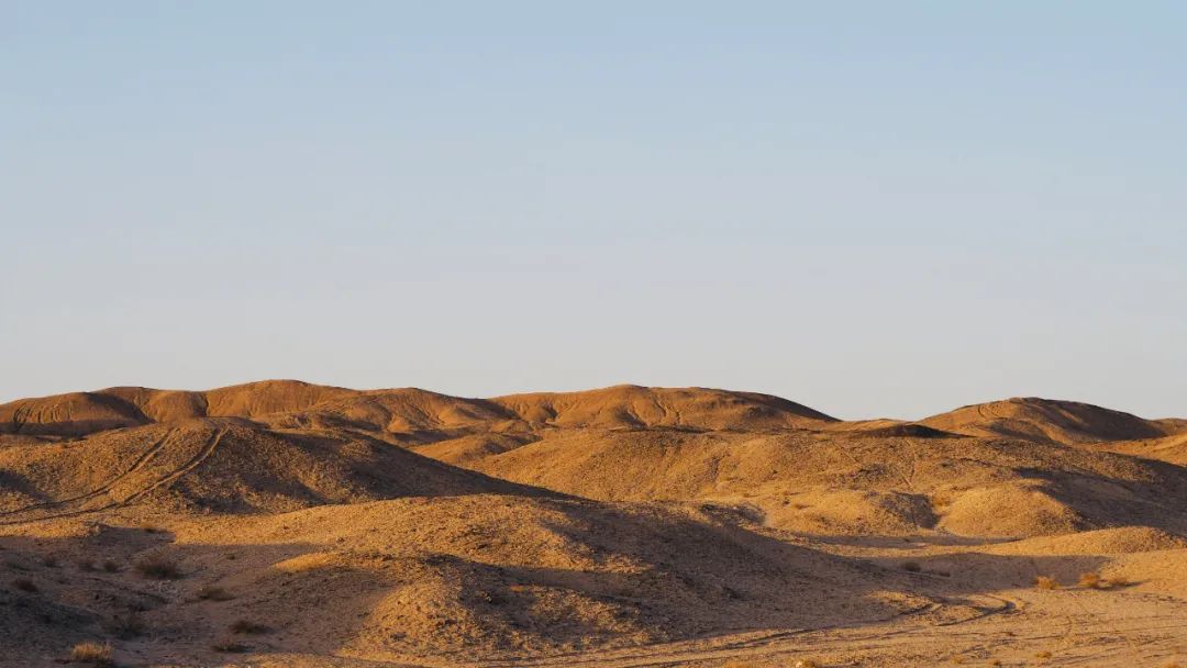 甘肃想吃美食去哪里旅游,甘肃啥地方
