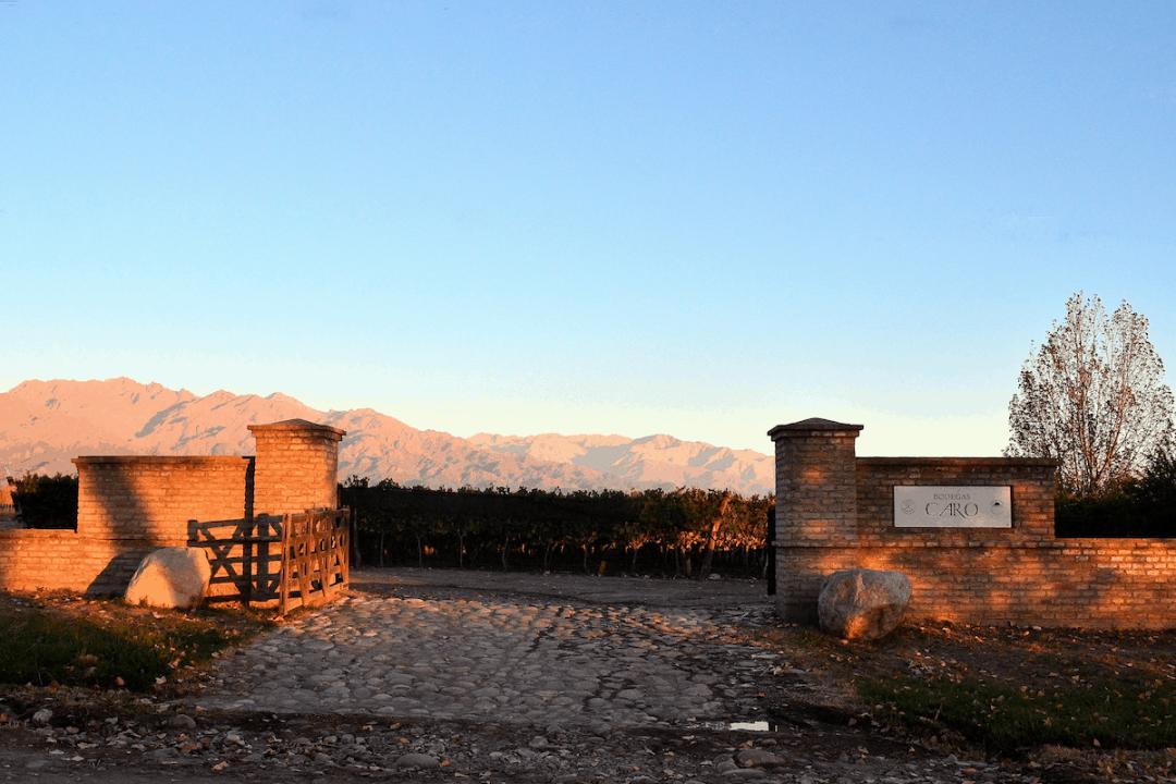 拉菲酒庄是罗斯柴尔德的嘛,拉菲罗斯柴尔德旗下酒庄