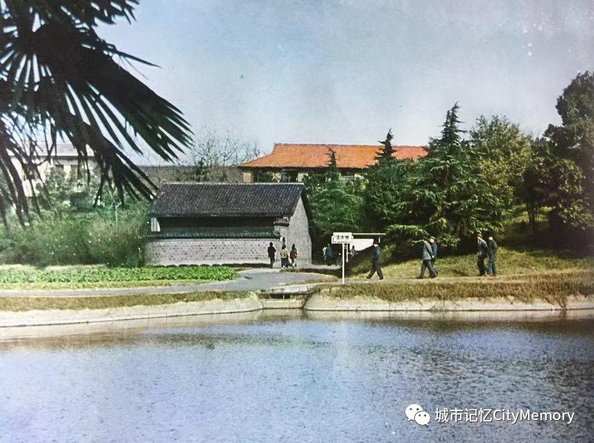 难忘杜家岭的那街、那房、那人