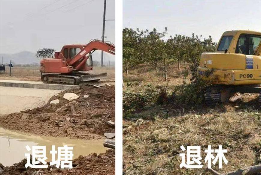 “退林还耕”全国开展，“农管”强制砍伐树木合法吗？来看3点