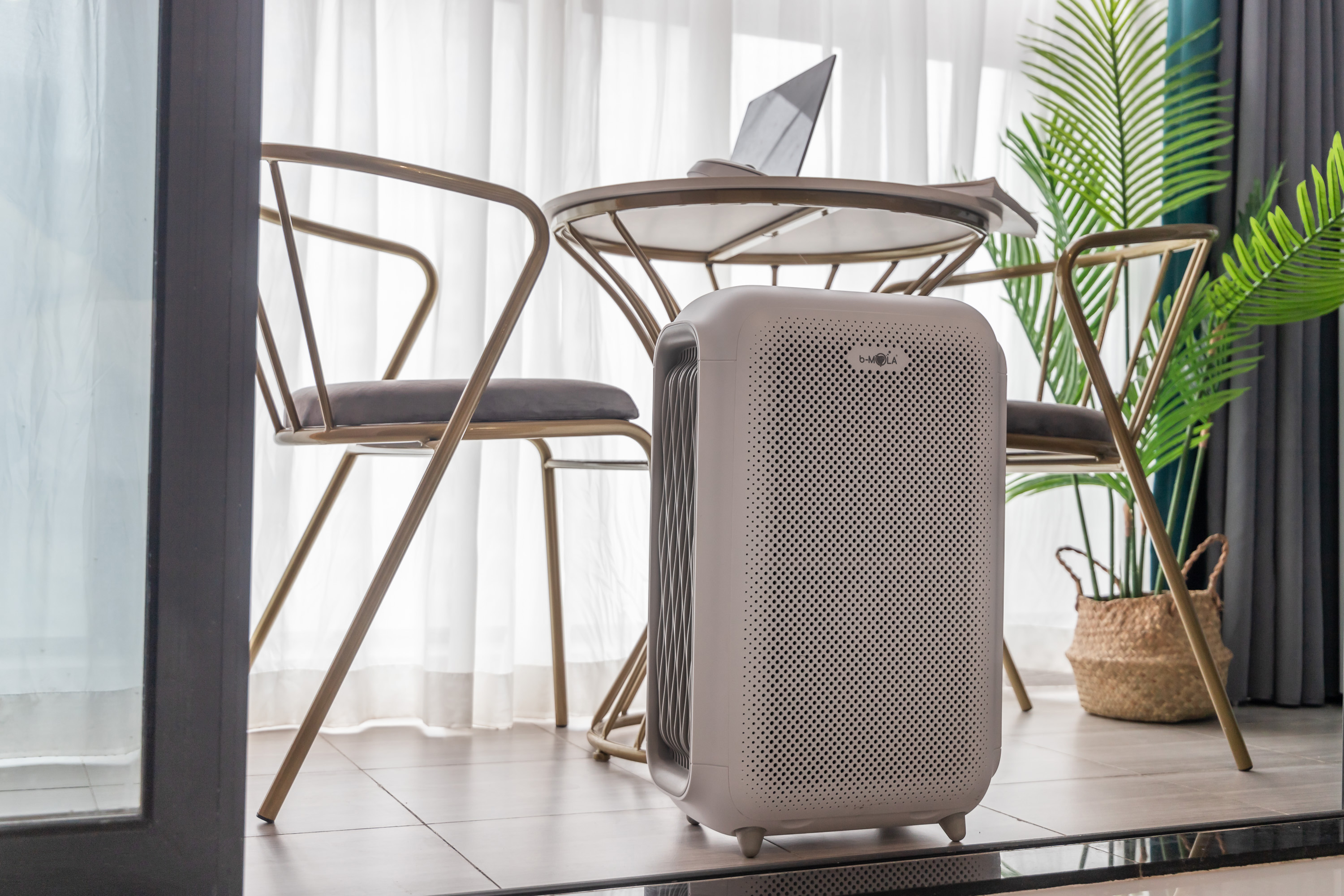 宠物怎么除臭最有效,宠物异味怎么调理