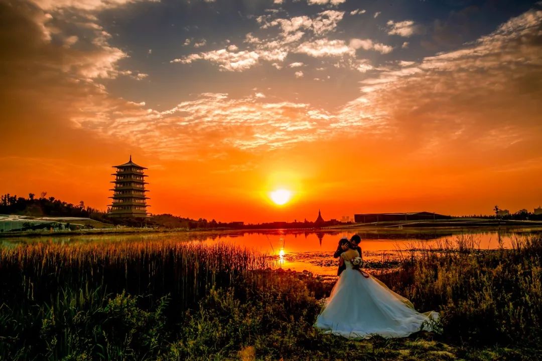 西安湿地风景区,西安东郊最美湿地公园