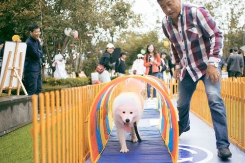 2023商业破局与新生,商业破局思维感悟