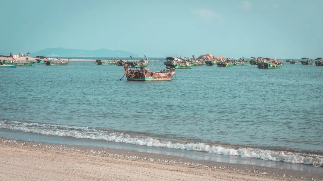美食之都潮汕,广东茂名的特色美食水果