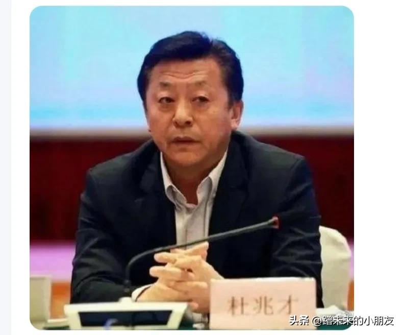 从不进球，到疯狂进囚，足坛反腐的连锁反应，杜兆才们的那些事