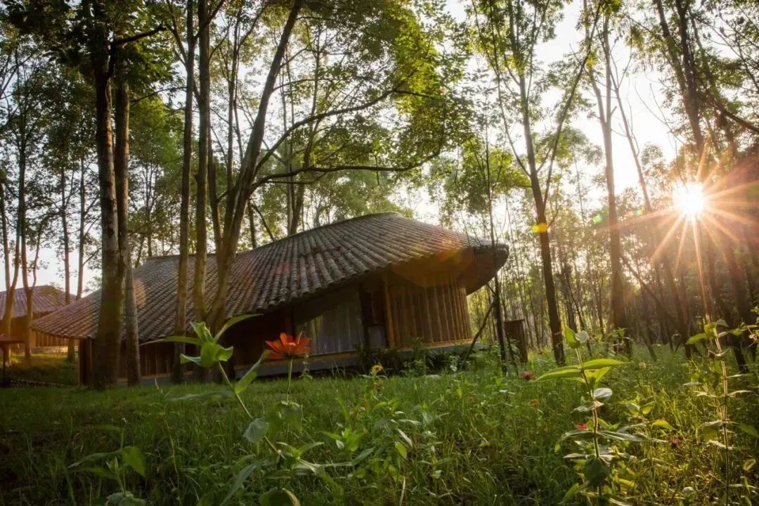 距离成都川西竹海最近的民宿,成都周边山水古村民宿推荐