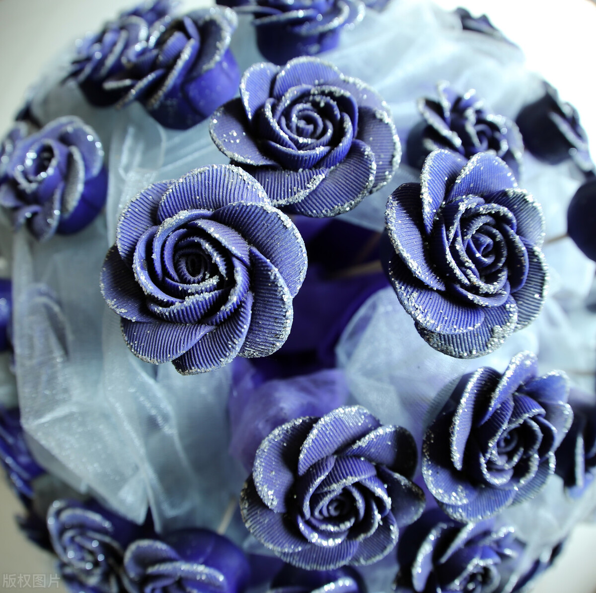 蓝色妖姬图片唯美两朵,蓝色妖姬各种图片