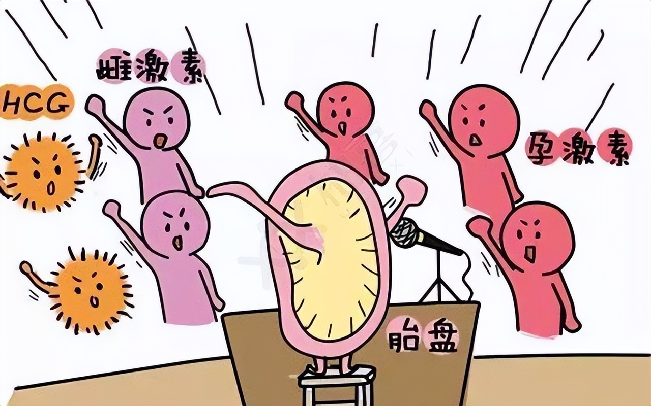 女性黄体酮不足吃什么食物能补充,女性黄体酮不足有哪些症状