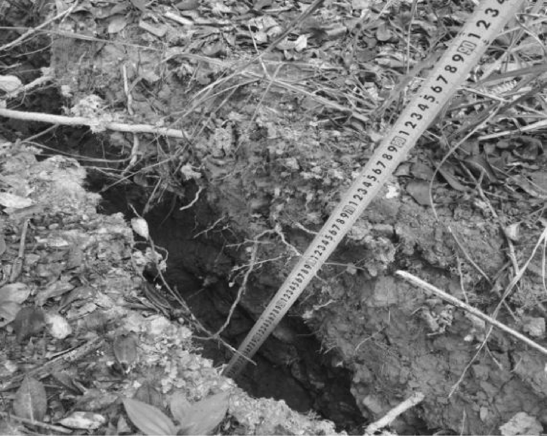 边坡失稳有什么措施解决,边坡变形量大的处置措施