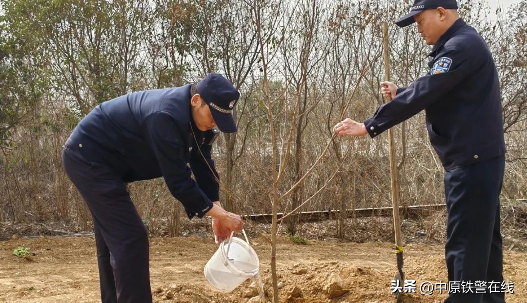 拥抱春天播种希望植树节手抄报,植树节拥抱春天播种梦想主题班会