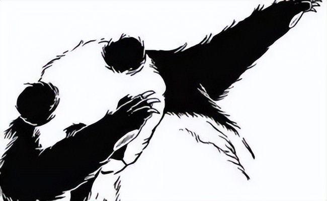 狗狗咳嗽很严重一直咳不停怎么办,养宠经验猫咪感冒打喷嚏怎么办