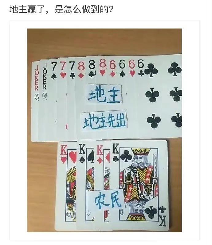 我有个大胆的想法表情图动态,我有个大胆的想法怎么回