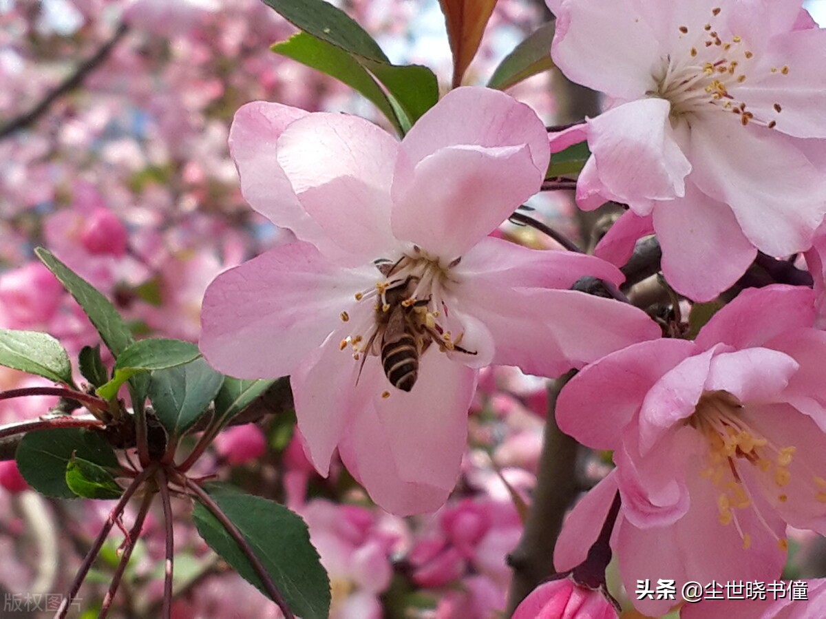 一首经典的哲理词！每一句都是至理名言，值得我们细细品读