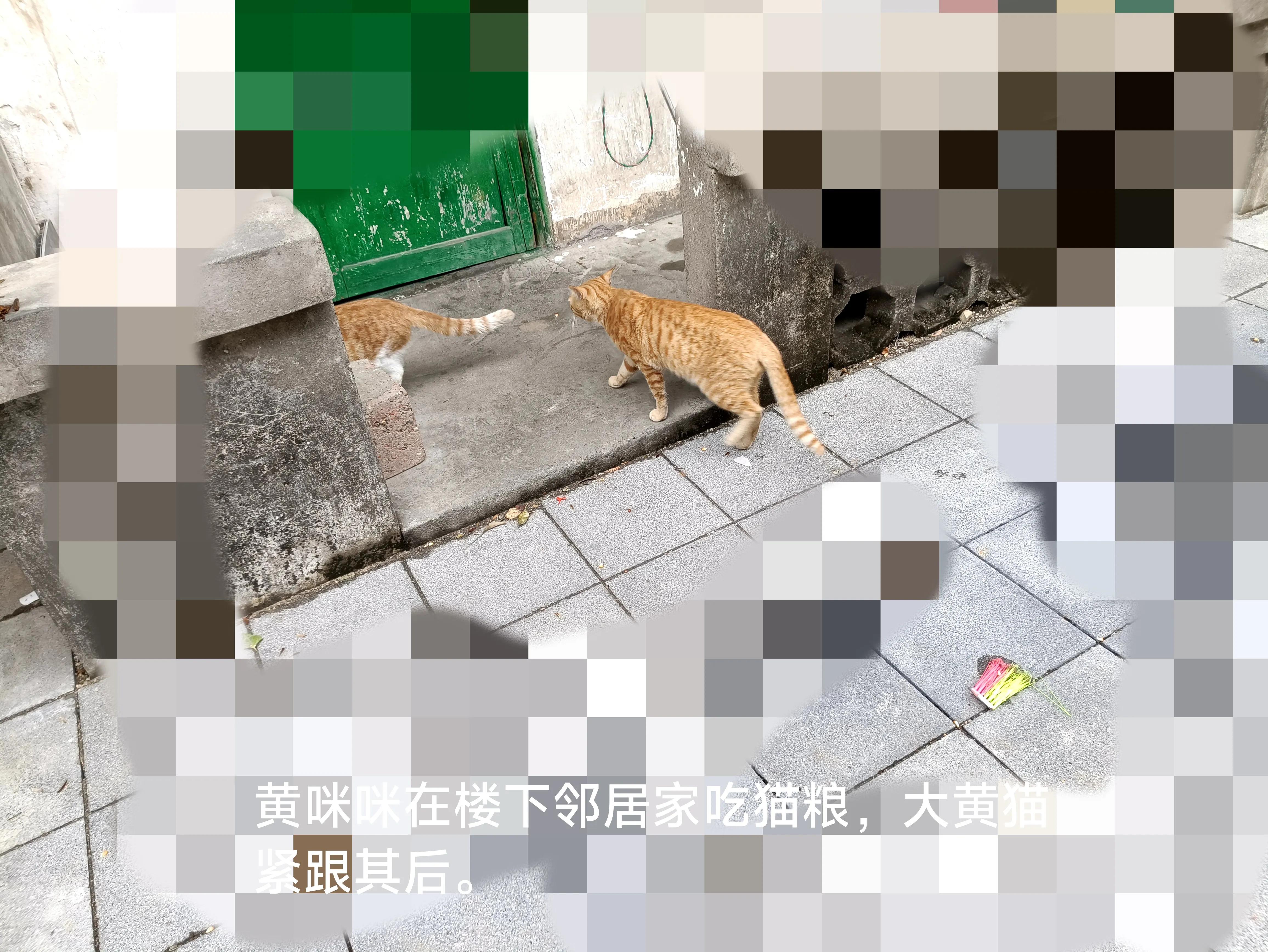 感谢有爱的邻居的视频,感谢有爱的邻居