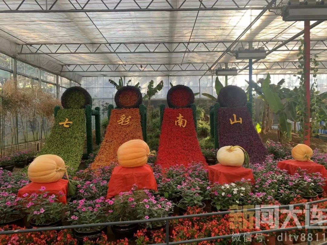 没想到附近也有这么美的风景,美丽的风景近郊旅游的好去处