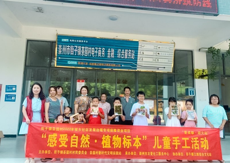 自然笔记植物标本,植物标本创意作品