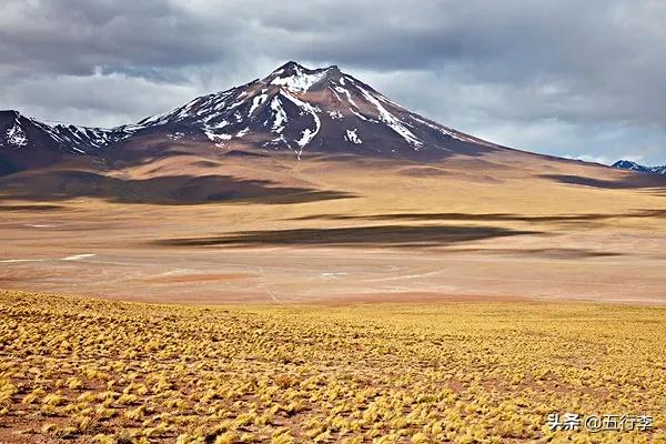 十二地支和十天干五行属性,十天干十二地支五行手诀