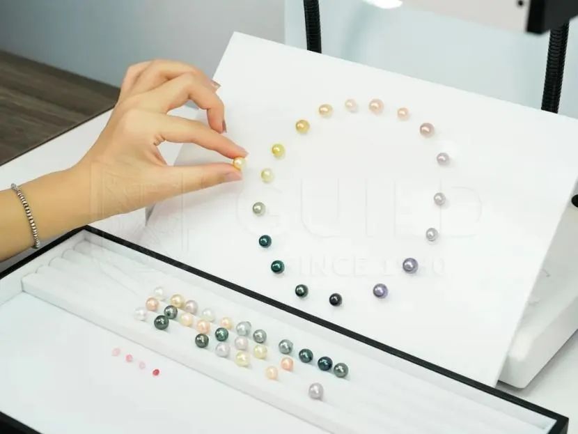 天然淡水珍珠价格,天然淡水珍珠价格一般多少