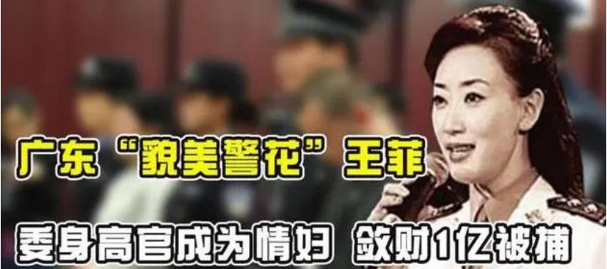 全国头号女警花王菲,王菲女警察