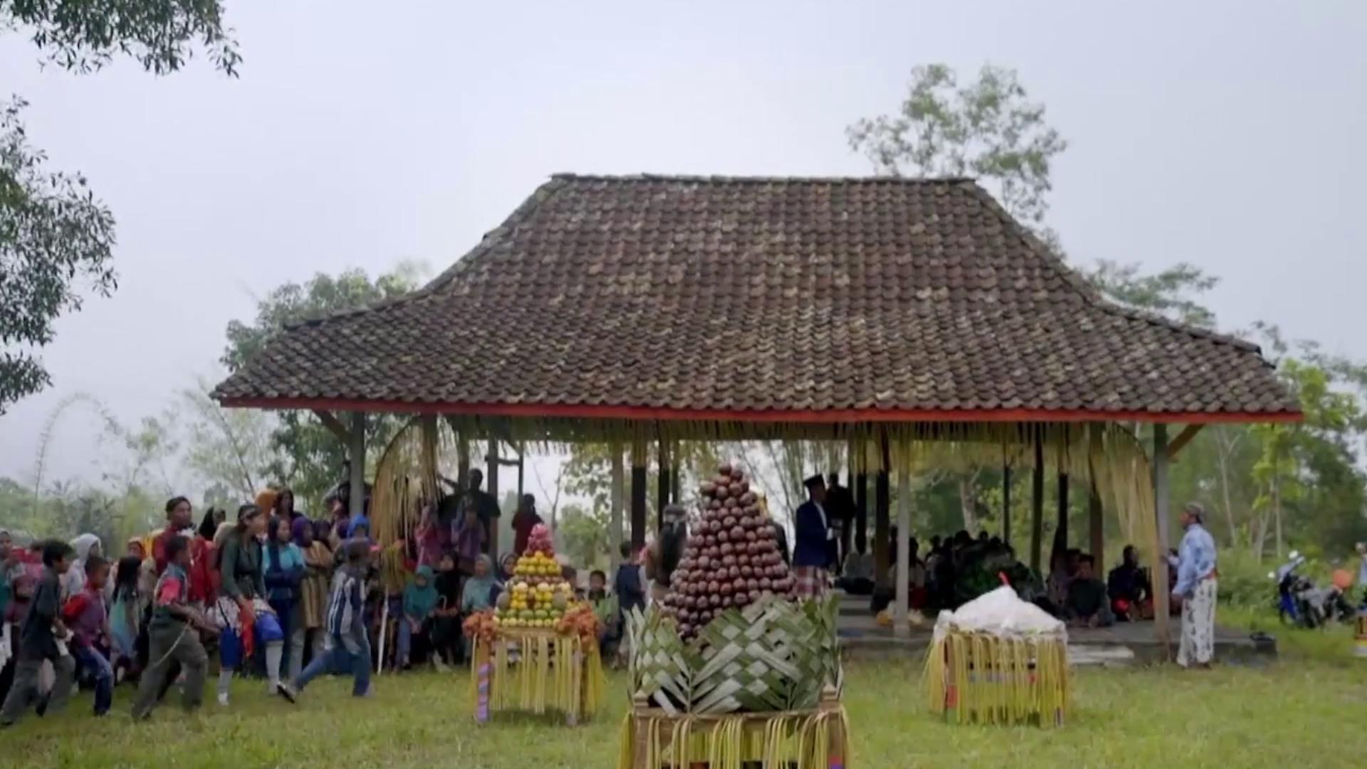 印尼蛇皮果是什么东西,顺丰包邮印尼蛇皮果稀有果