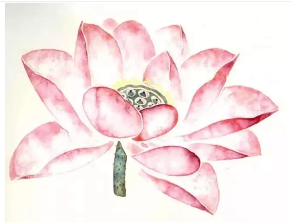 什么是没骨画技法,什么是没骨法画法