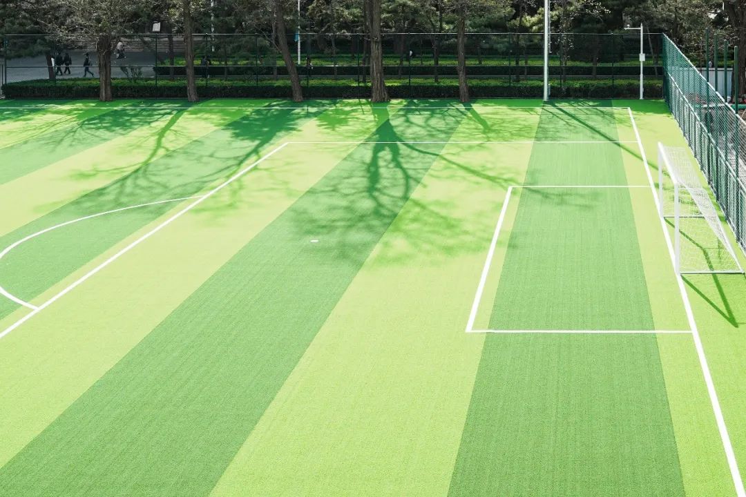 最新足球场改造消息,足球场升级改造