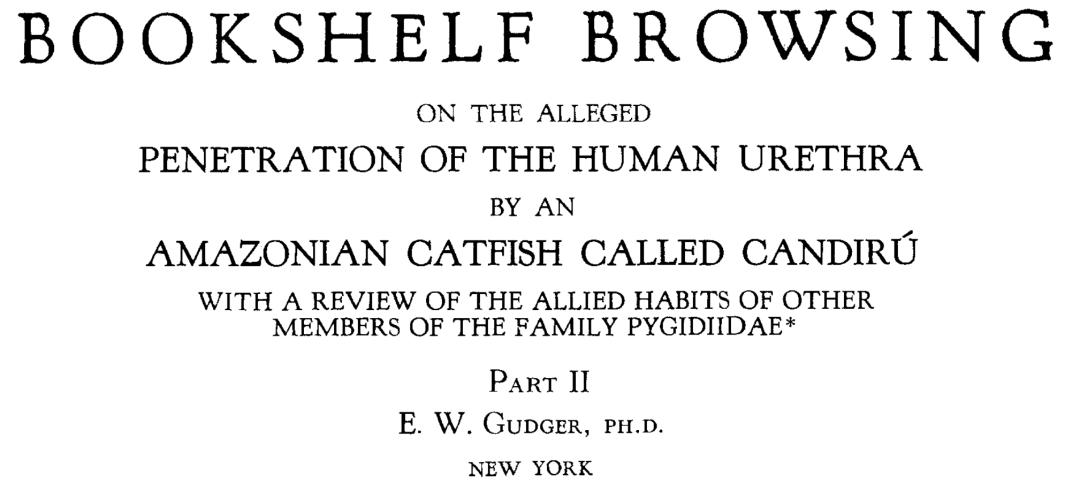 亚马孙河的鱼有哪些,亚马孙河有什么鱼