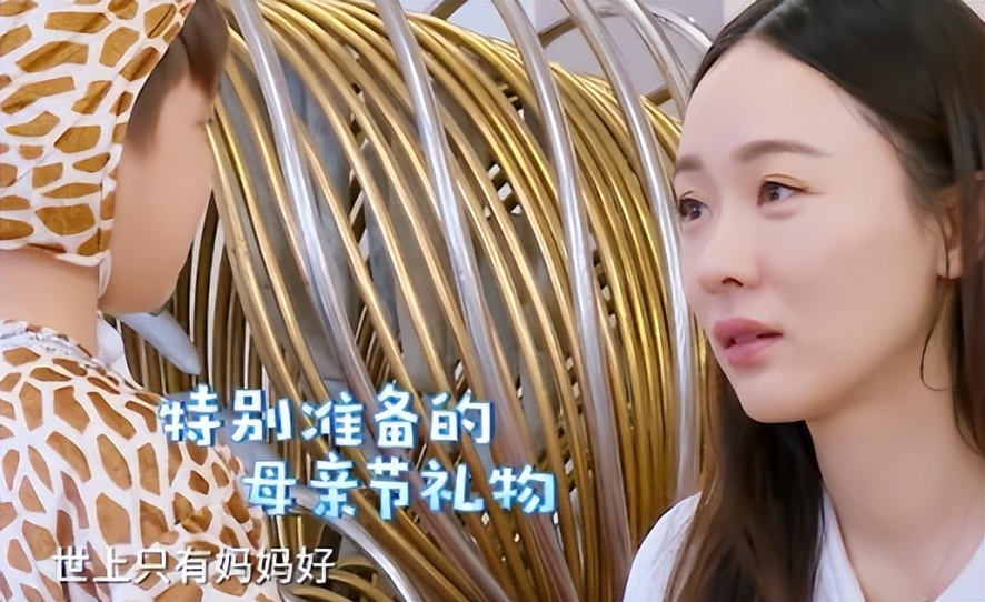 霍思燕豪门捞金,霍思燕富婆