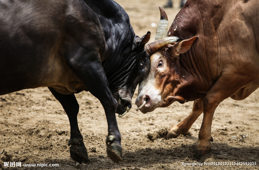 动保行业,动保行业篇