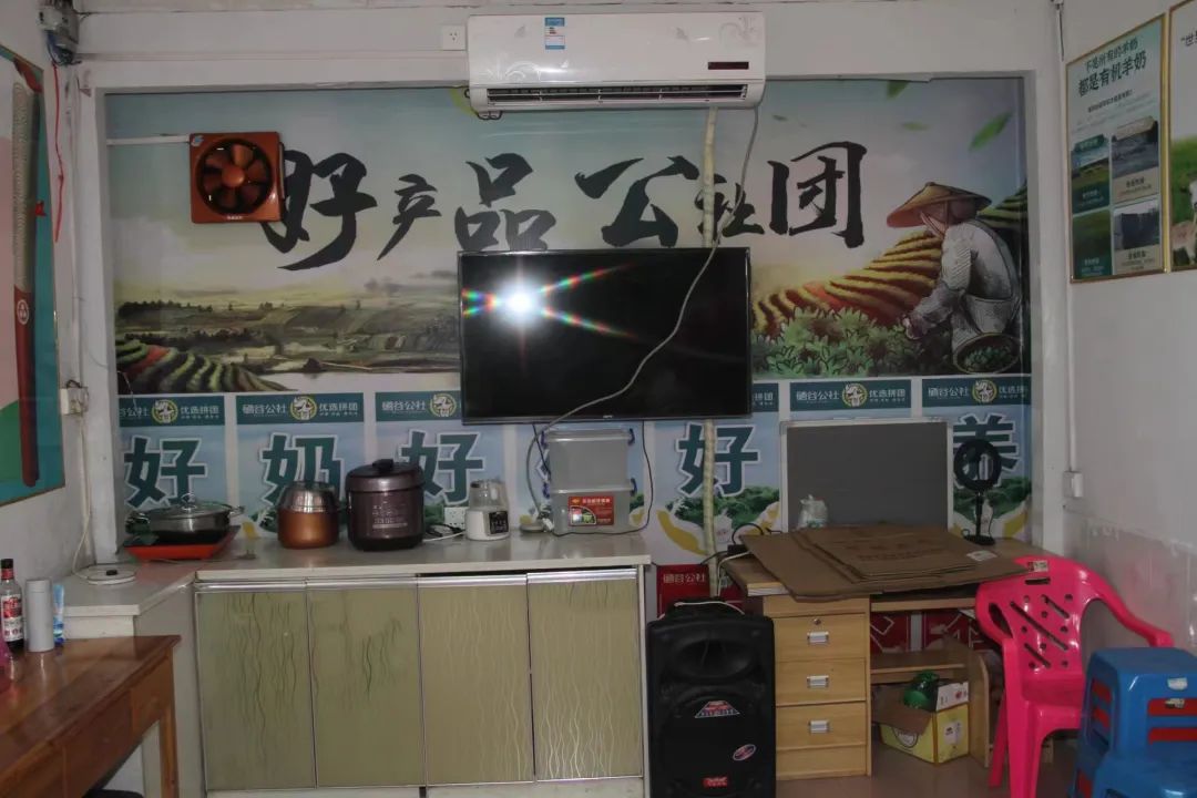 金城江最近逮捕名单,金城江近期逮捕涉嫌境外人员