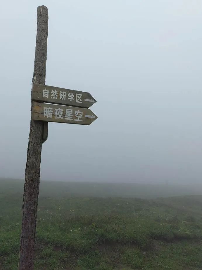 灏忓ぉ灞遍夯鐢板箔鏅尯浜戞捣,楹荤敯宀皬澶╁北璺ソ璧颁箞