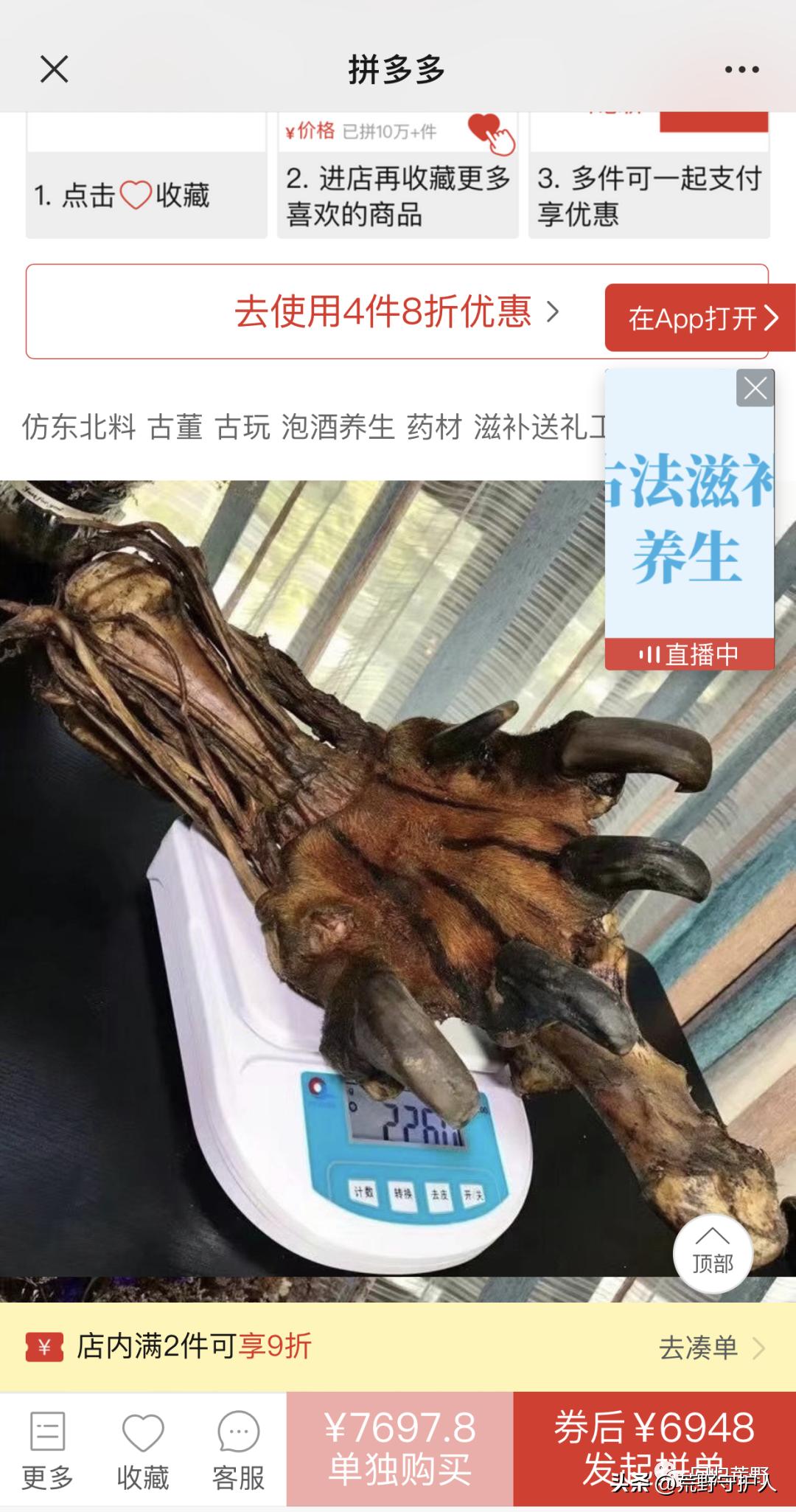 非法经营野生动植物 (野生动植物非法贸易联合行动汇报)