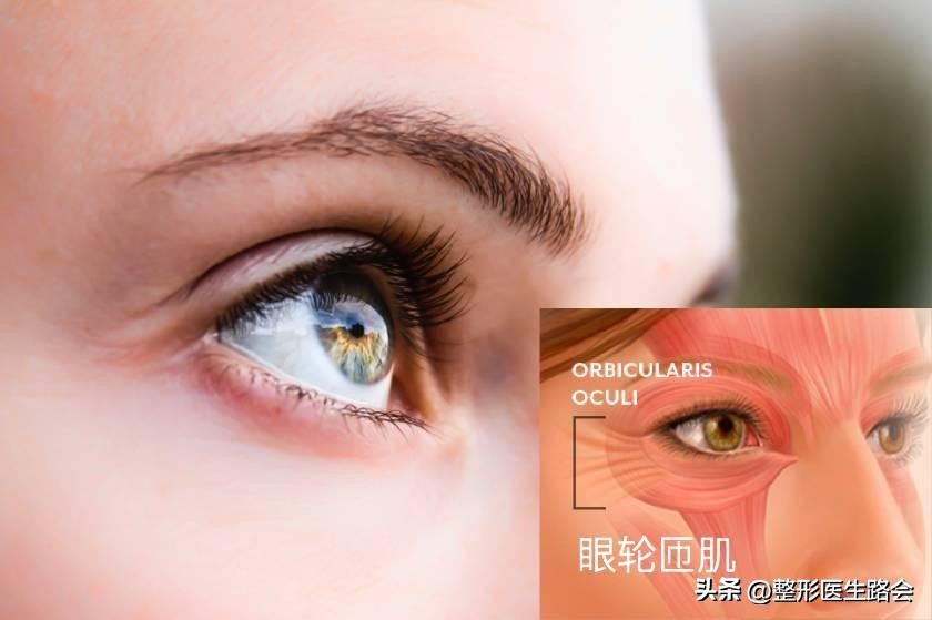 眼袋和卧蚕的区别看完你就知,怎么分清眼袋和卧蚕的区别图片