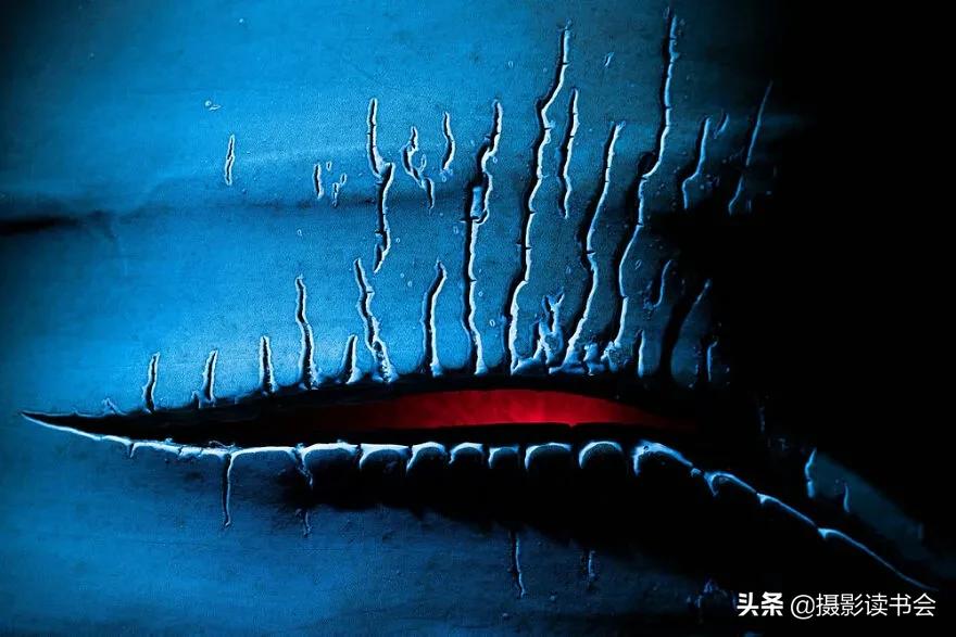 2018年度最佳摄影照片,创造出令人惊叹的自然摄影照片