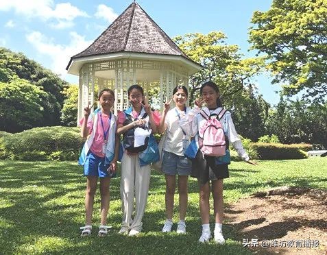 潍坊中新双语好进吗,潍坊中新双语校园