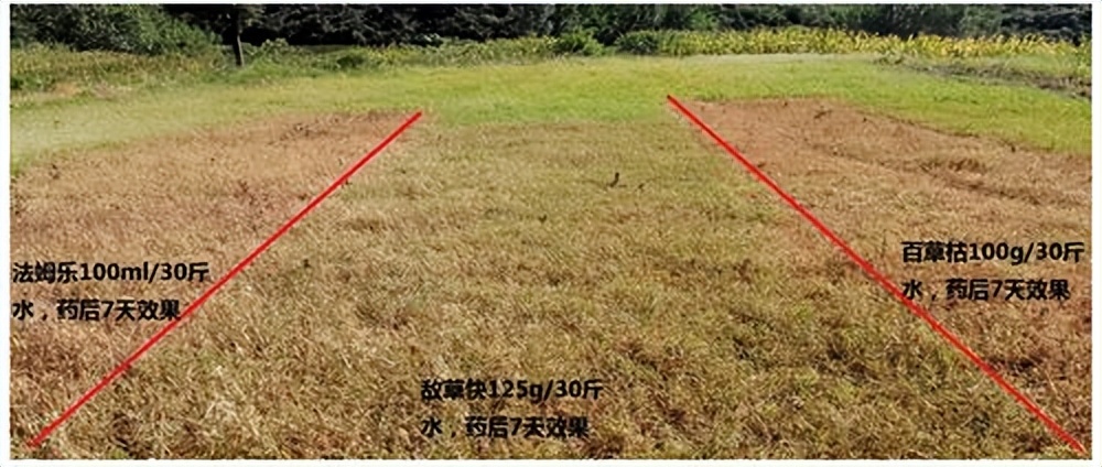 比百草枯还要毒的是什么,比百草枯还毒的毒药是什么