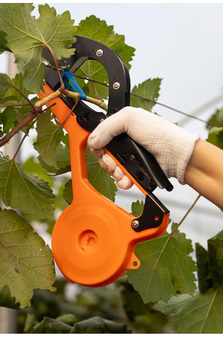 新款绑枝机，旧款绑枝机对比新款绑枝器，有哪些不同？