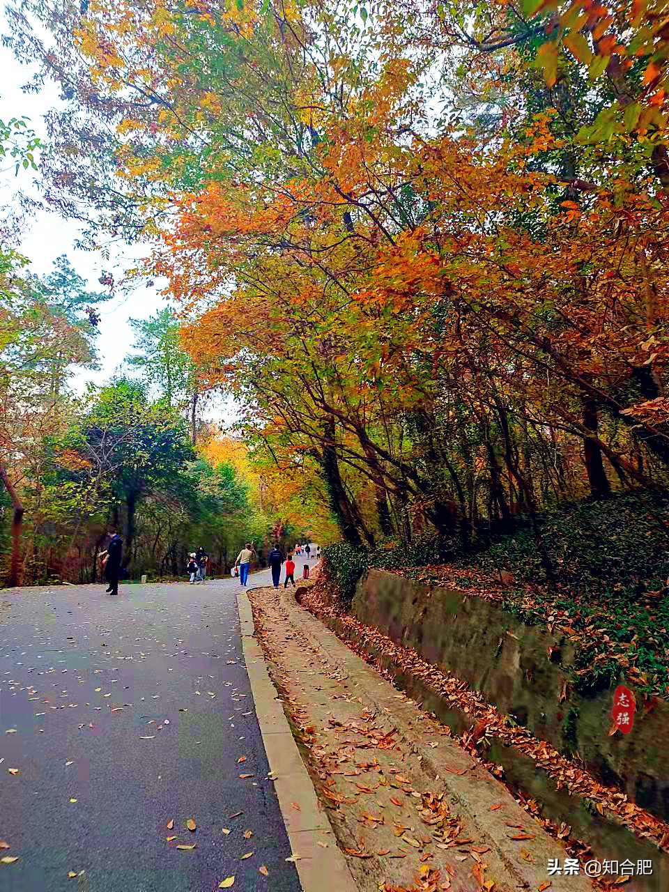 合肥大蜀山最新规划改造,合肥大蜀山改造封闭了吗