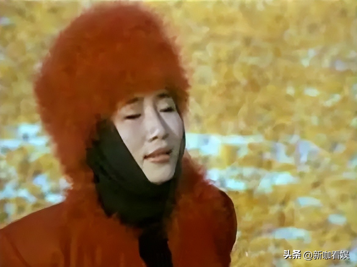 歌手李娜出家后还俗了吗,歌手李娜当年为什么出家