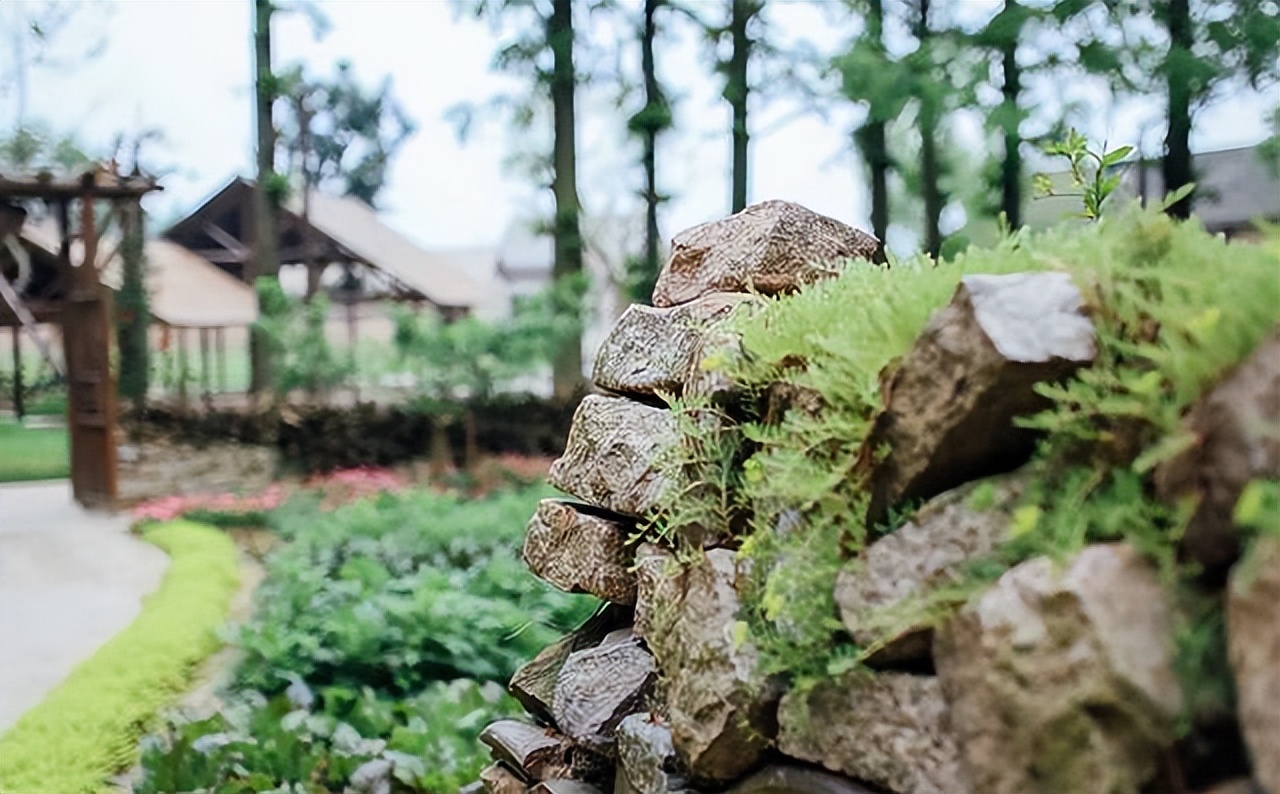 乌村一日游路线,乌村观光游是什么