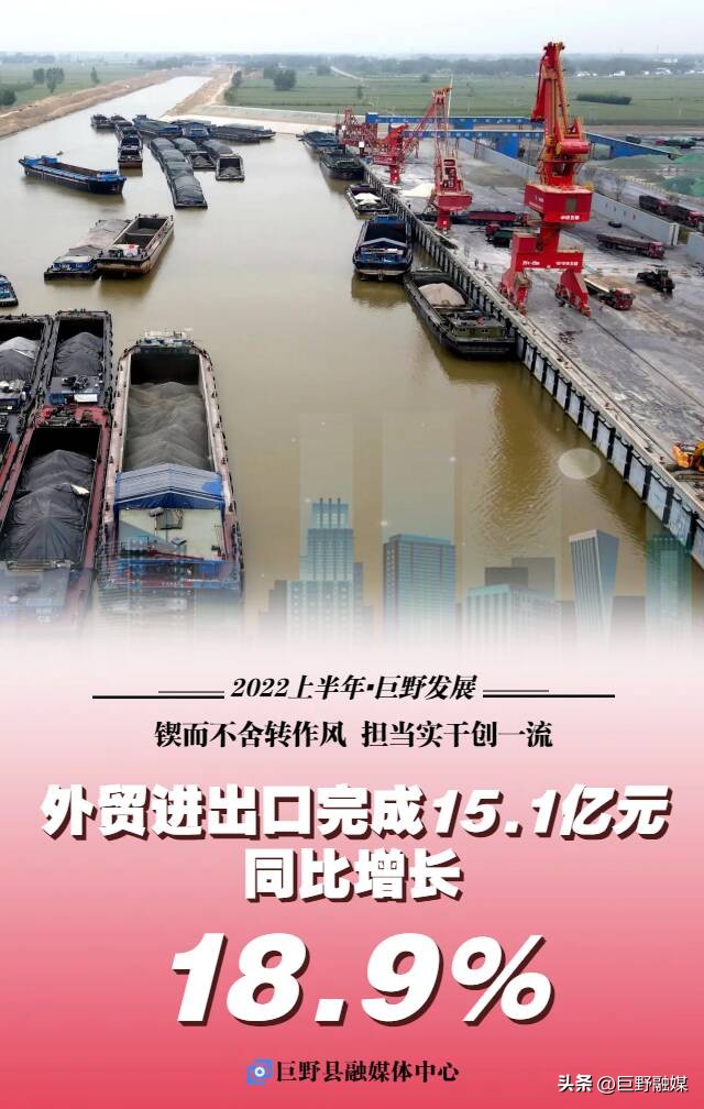 山东巨野县成绩查询,解读年报业绩