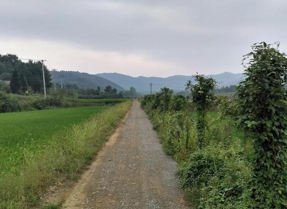 掏肠恶魔乔建国：花季少女夜路回家，惨遭毒手小肠被从*体下**掏出