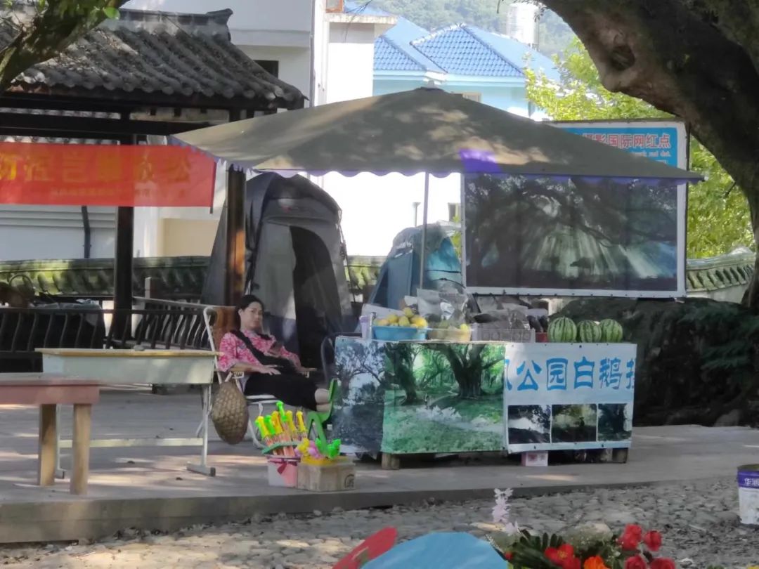 农民扮演农民？畲族模特每个动作定格3秒循环往复，150元可得乡村风赶鹅图