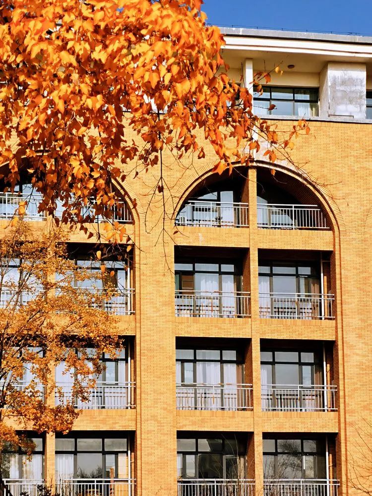 层林尽染的视频号,濮阳医专学历怎么样