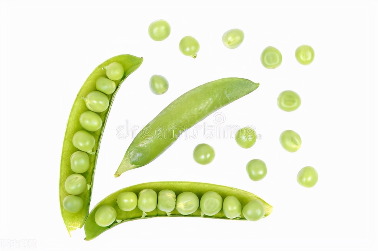 小学生需要给零钱吗,小学生该不该带零用钱