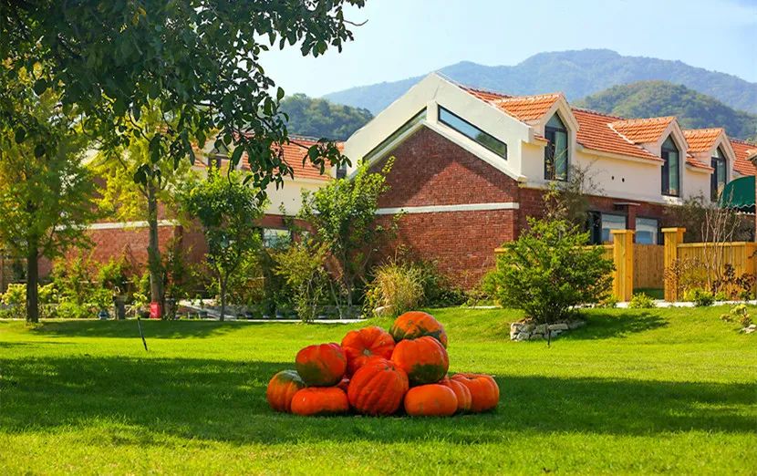 民宿推荐打卡网红酒店,北京小众网红打卡民宿