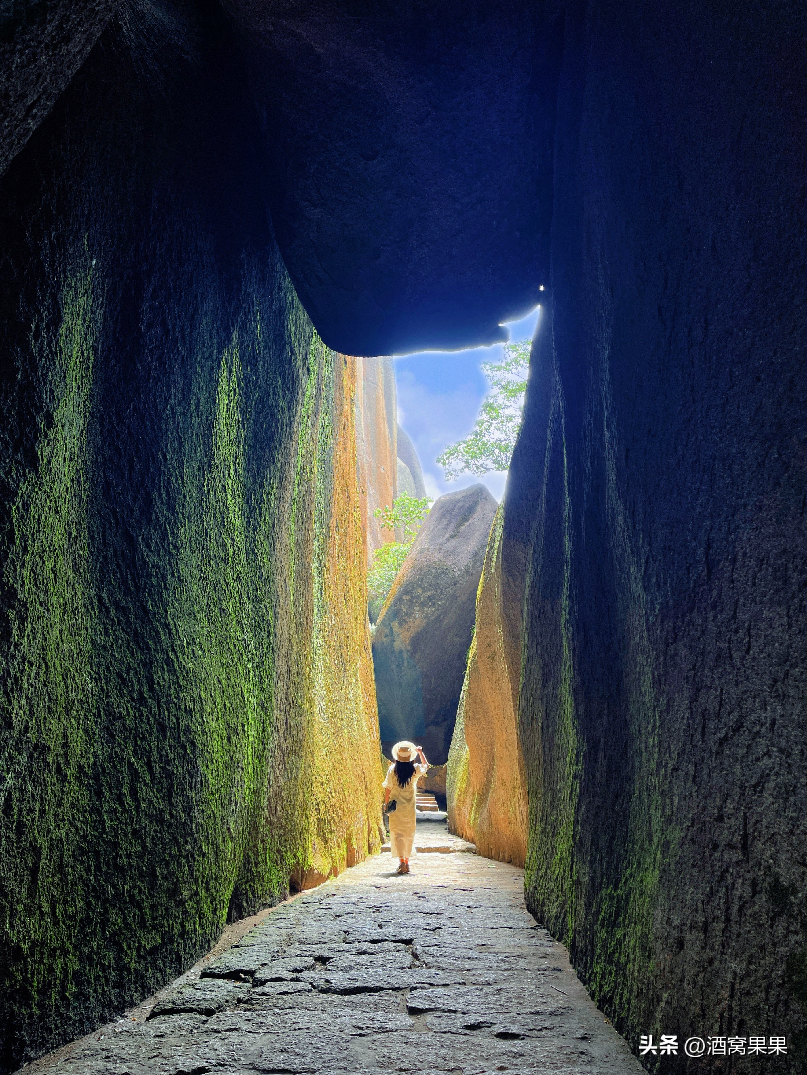 福鼎两天一夜旅游攻略,福鼎茶漫步茶园体验采茶之旅