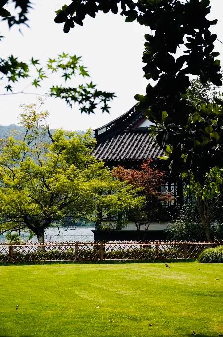 閮簞鍒樺簞,钂嬪簞鍒樺簞