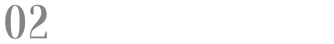 进口冻干犬粮推荐,德国最好的进口犬粮